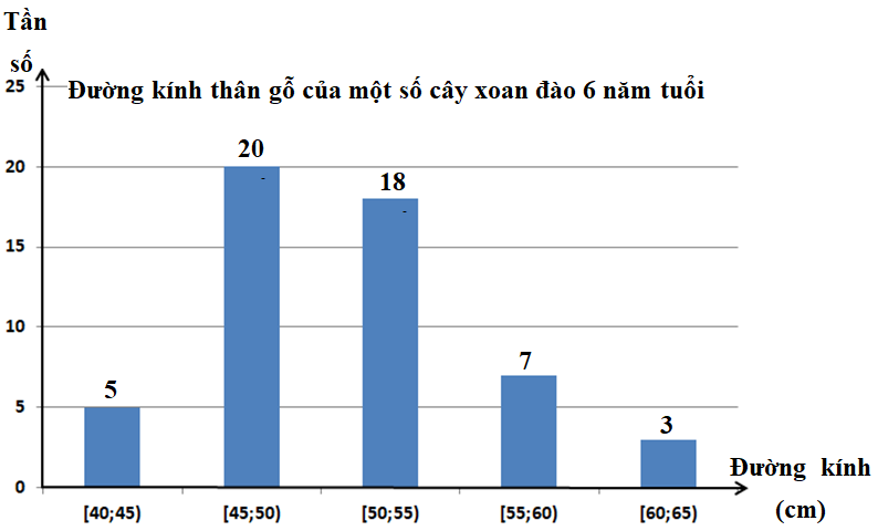 Hình minh họa câu hỏi